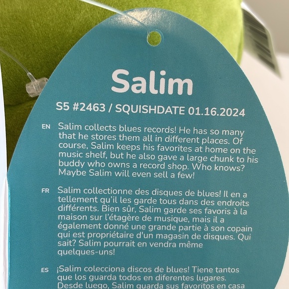 NWT 5” Salim the Pickle with Beanie Squishmallow - Picture 5 of 5